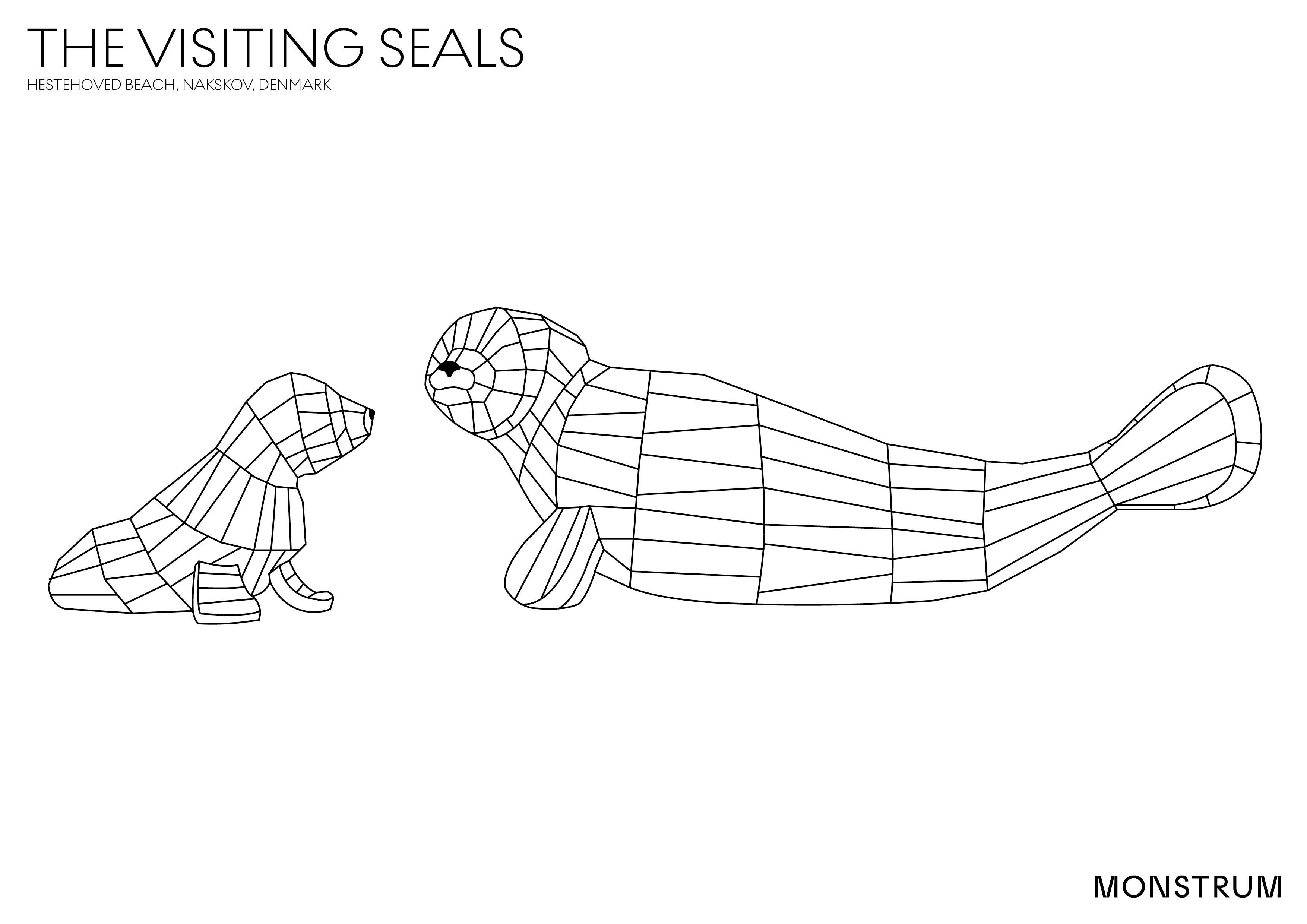 MONSTRUM Colouring in Seals