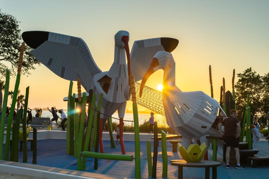 The Ibis Dreams Playground