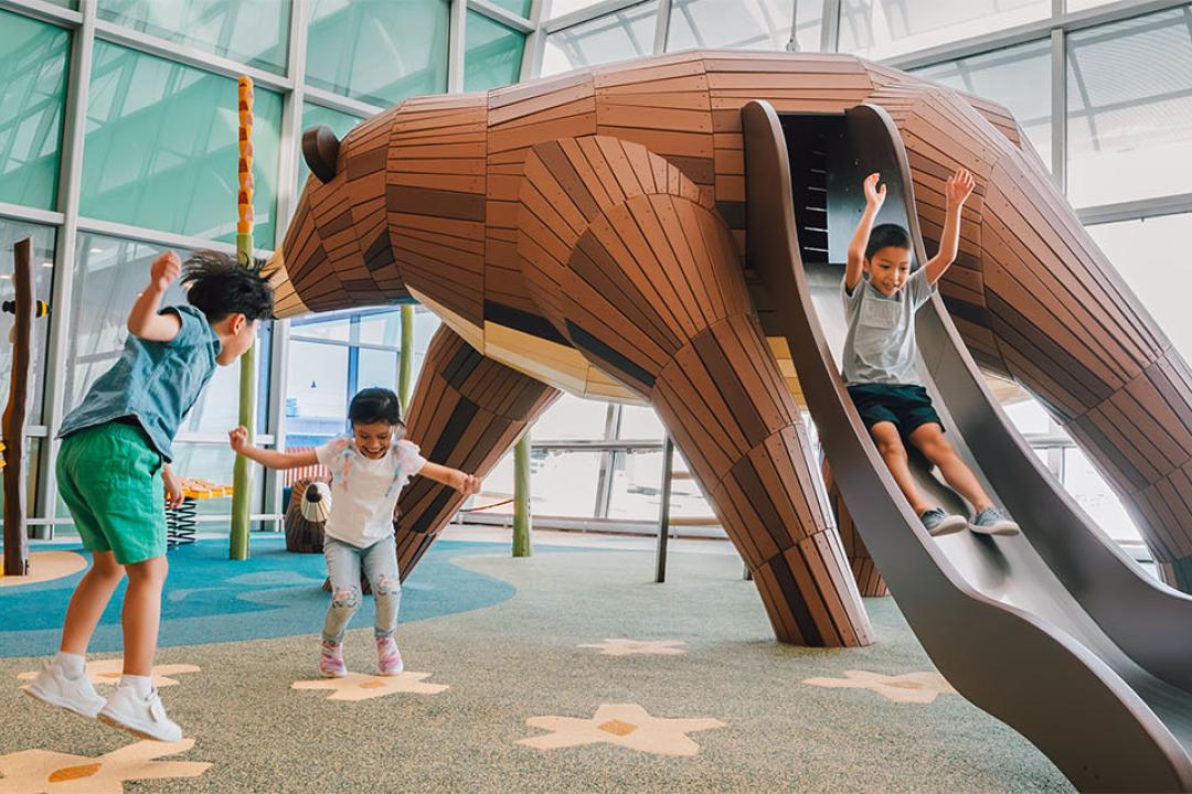 The Bear's Hideout Playground