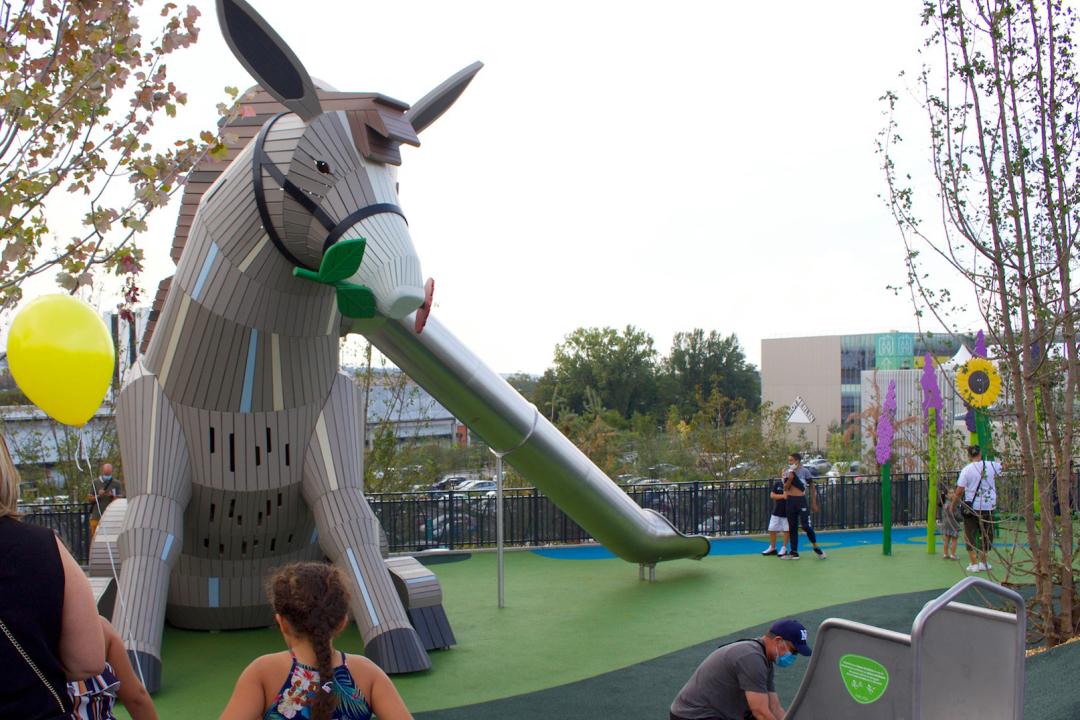 The Joyful Donkey