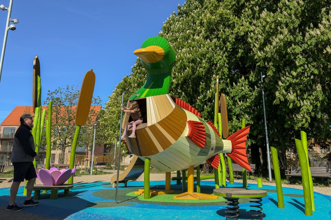 Duck-fish themed playground