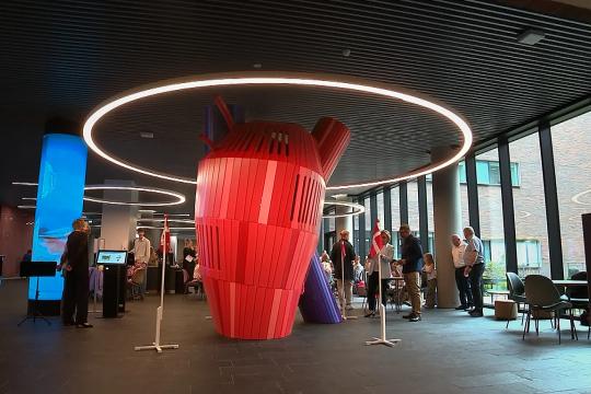 Giant wooden playground heart structure in hospital foyer