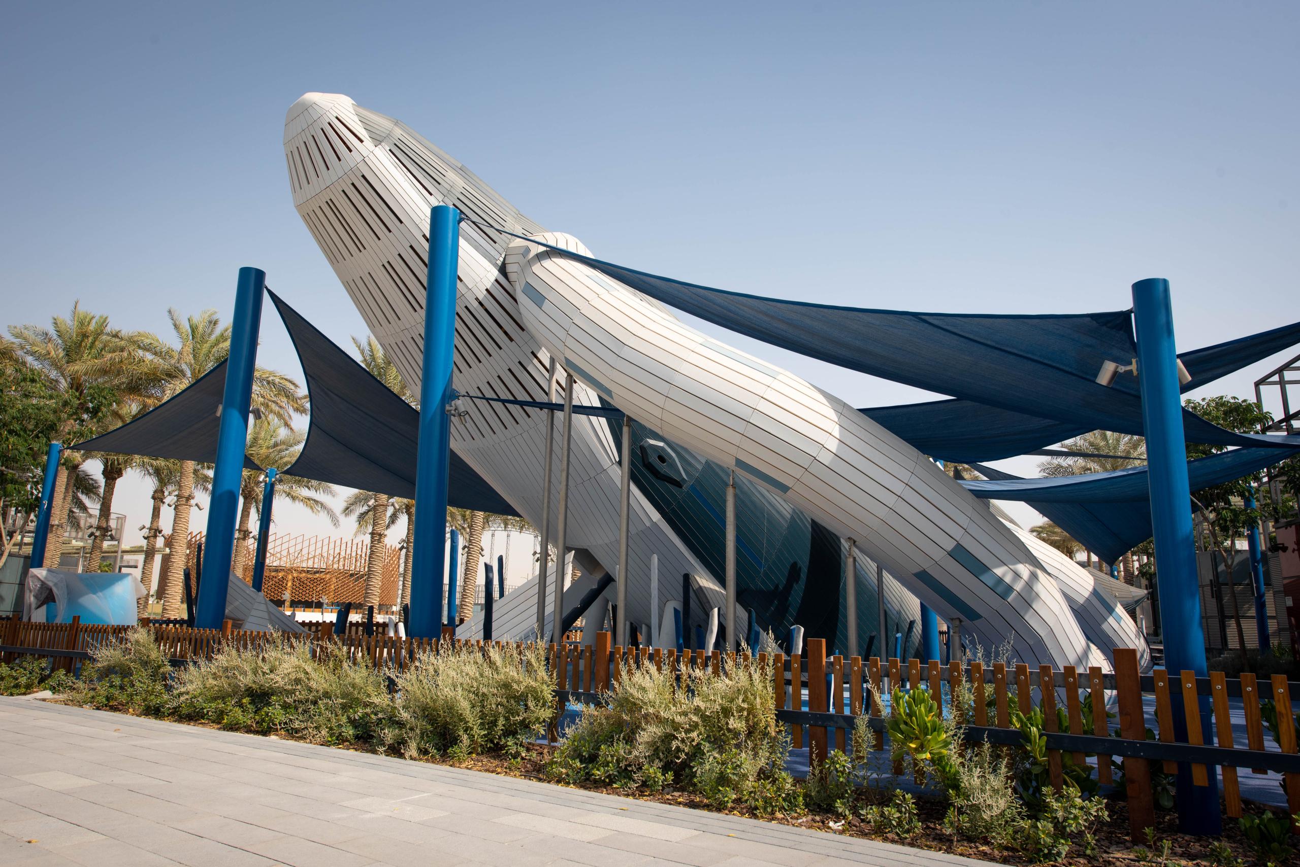 The breaching whale playground EXPO 2020