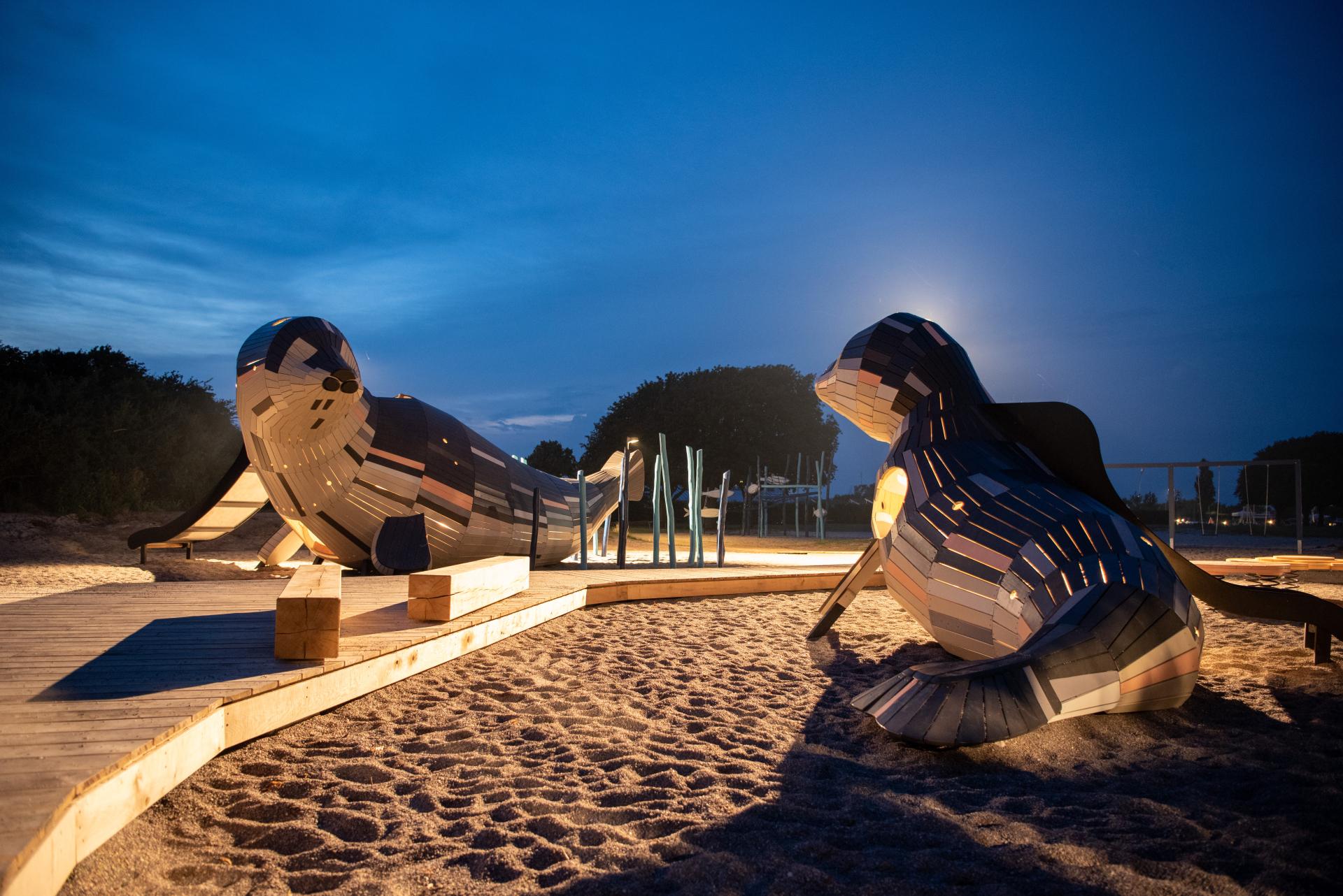 Seal playground at night