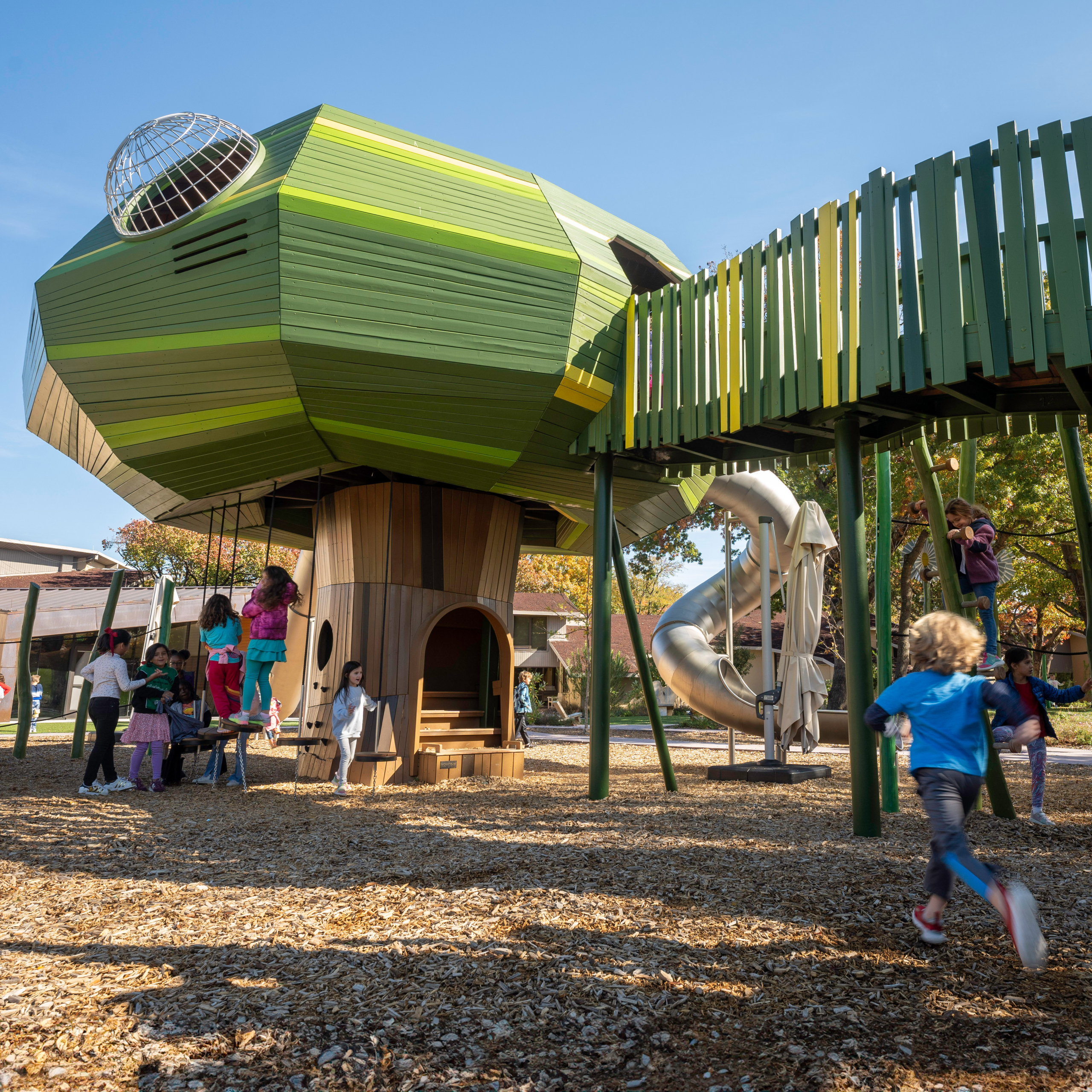 Giant wooden playground tree at school