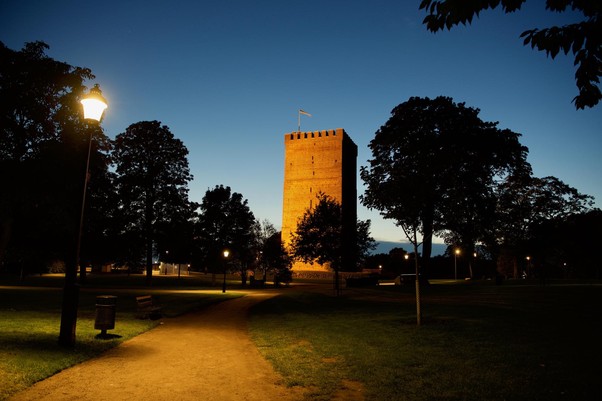 Monstrum playground helsingborg medival village