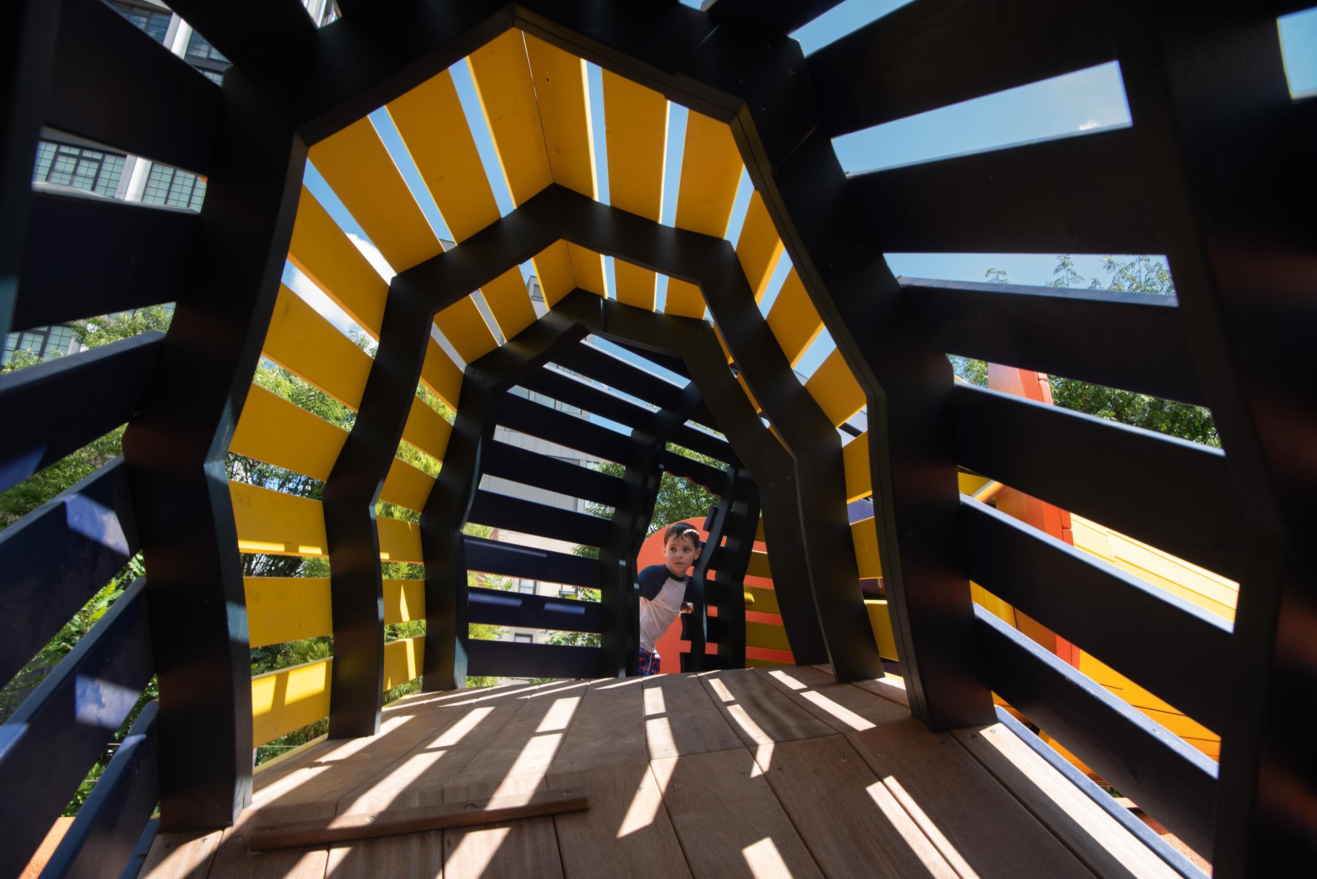 Pipefish monstrum playground inside wooden planks