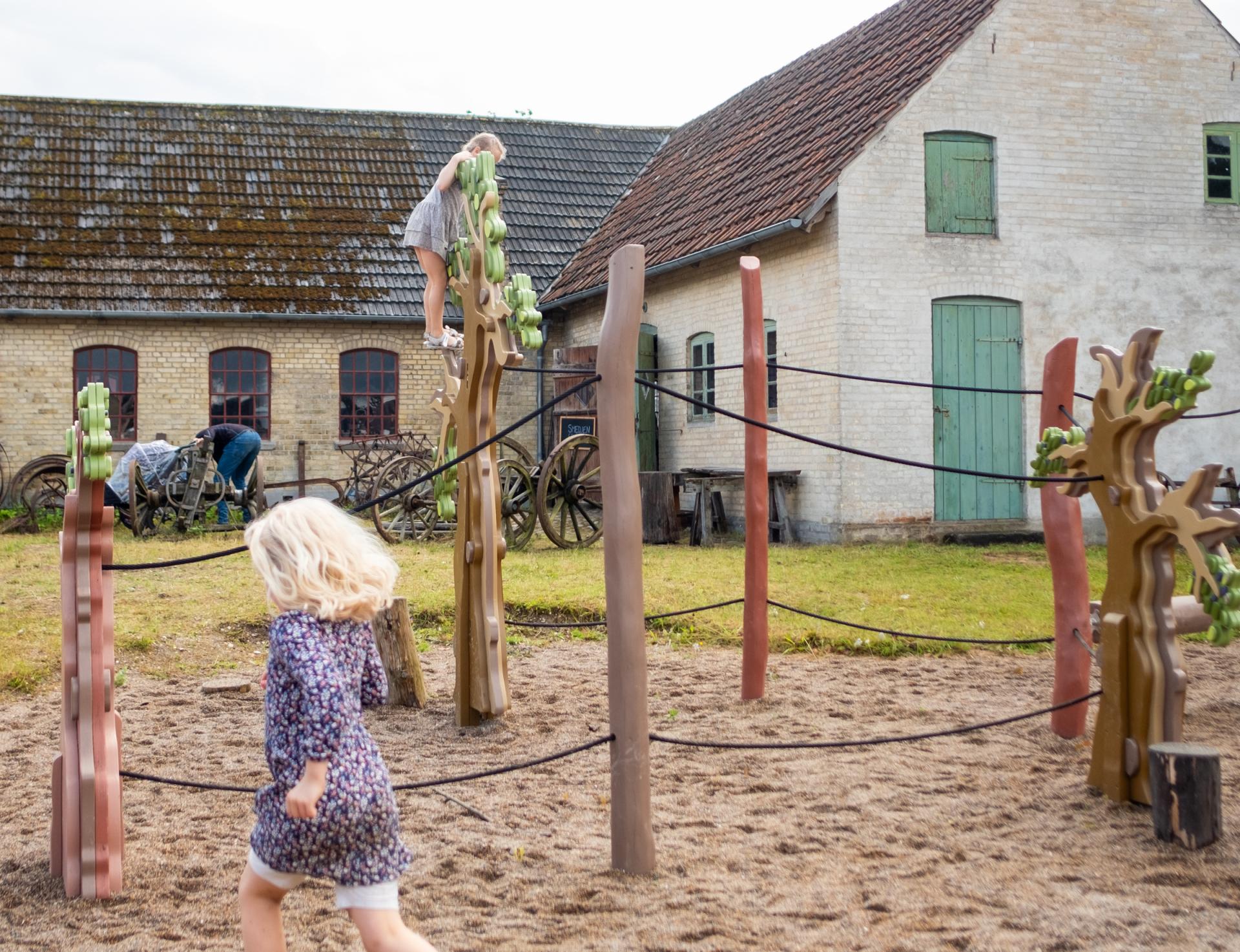 Kids running and playing in forest of wooden trees