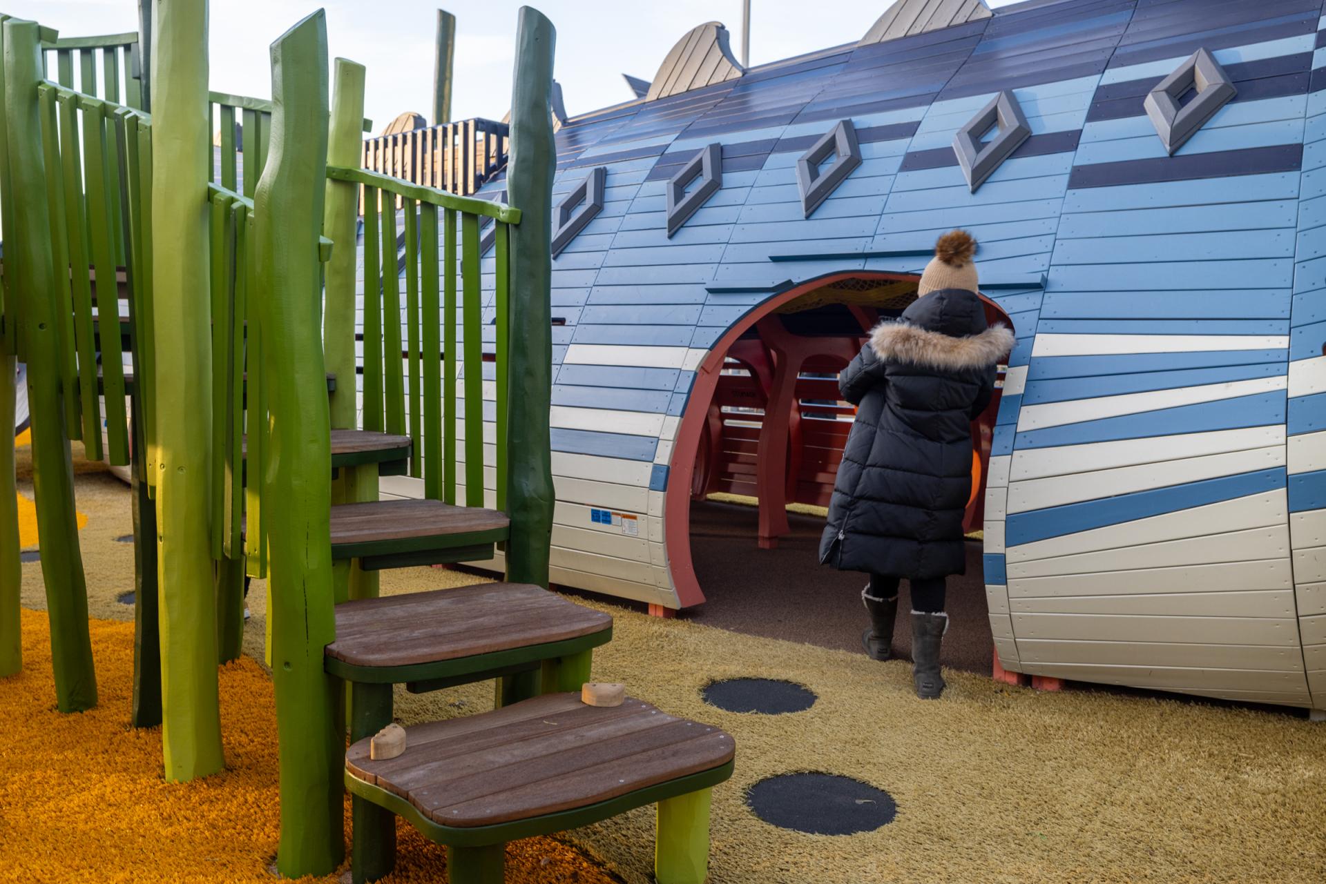 Accessible steps & accessible entrance to playground fish structure