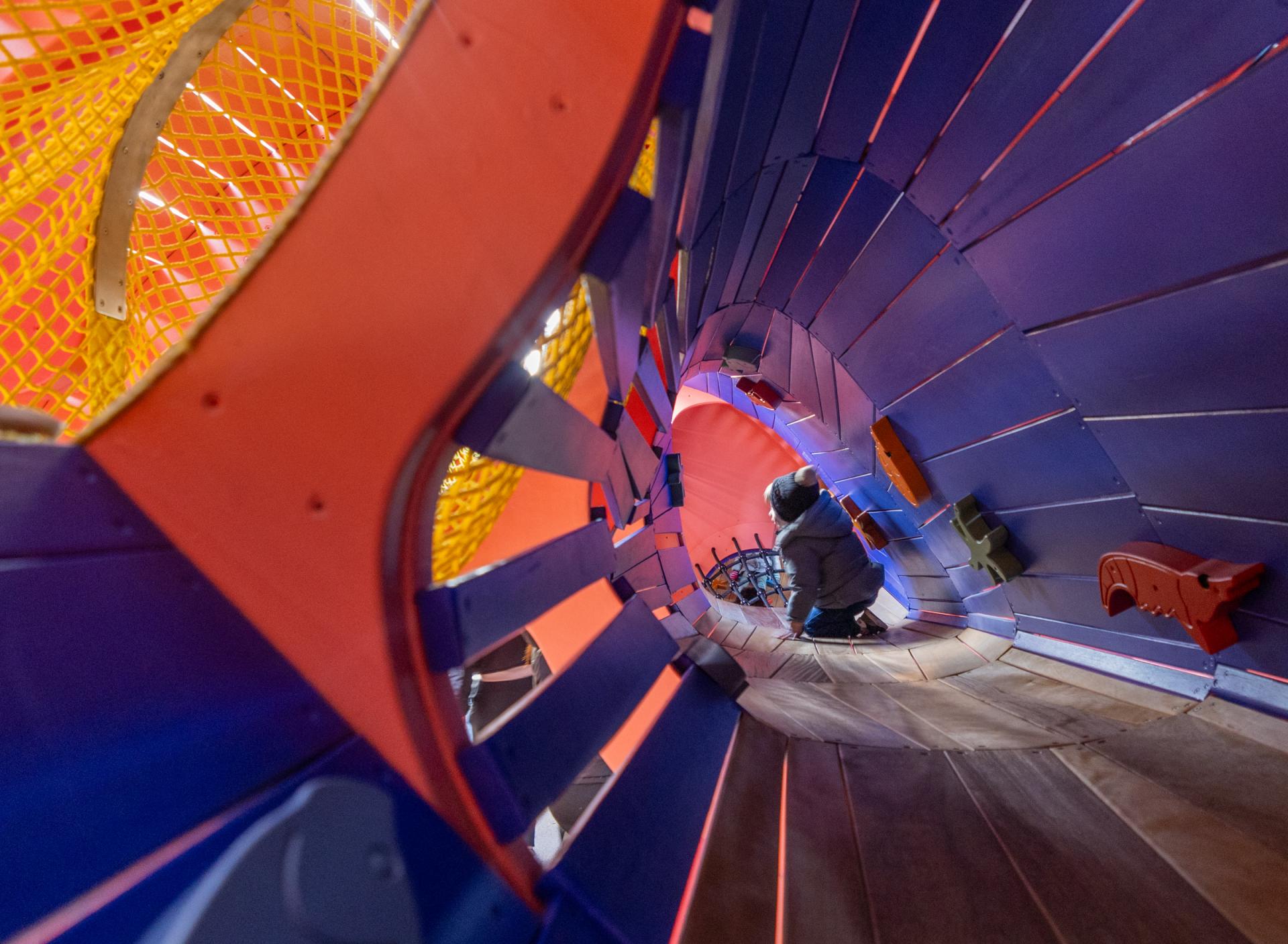 Inside details of the intestine system of sturgeon at wooden playground