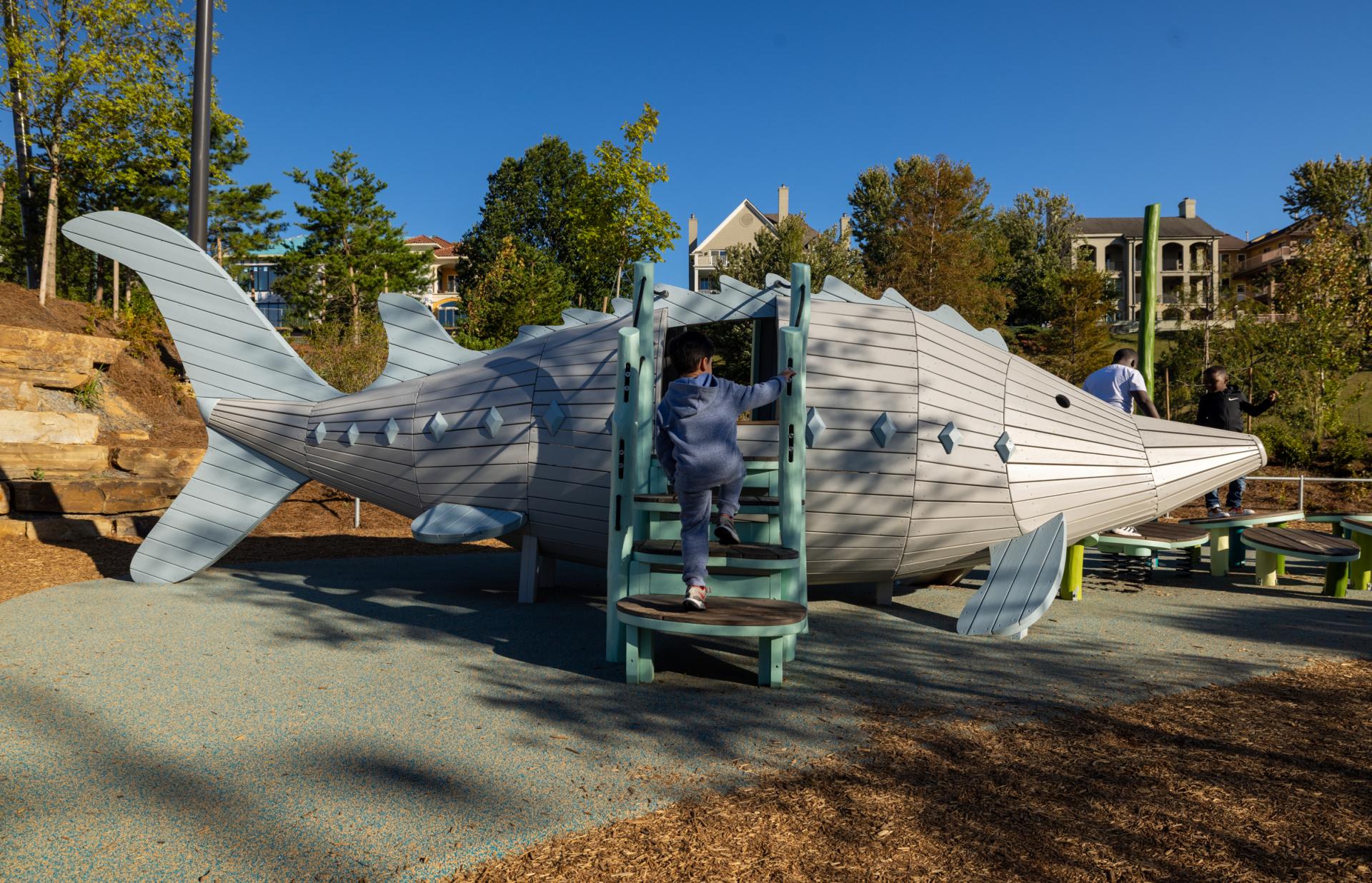 Sturgeon fish playground structure