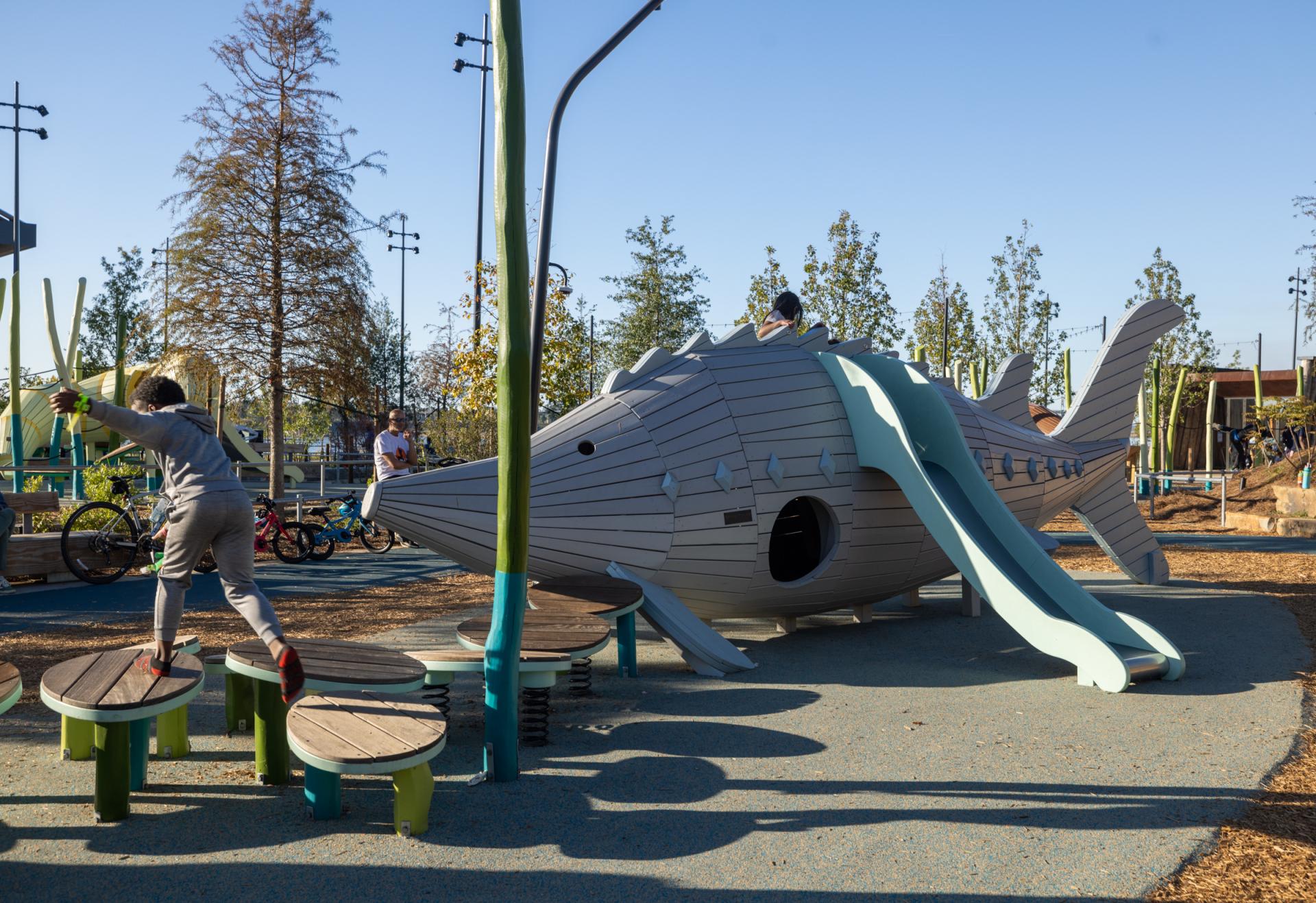 Wooden sturgeon play structure at playground