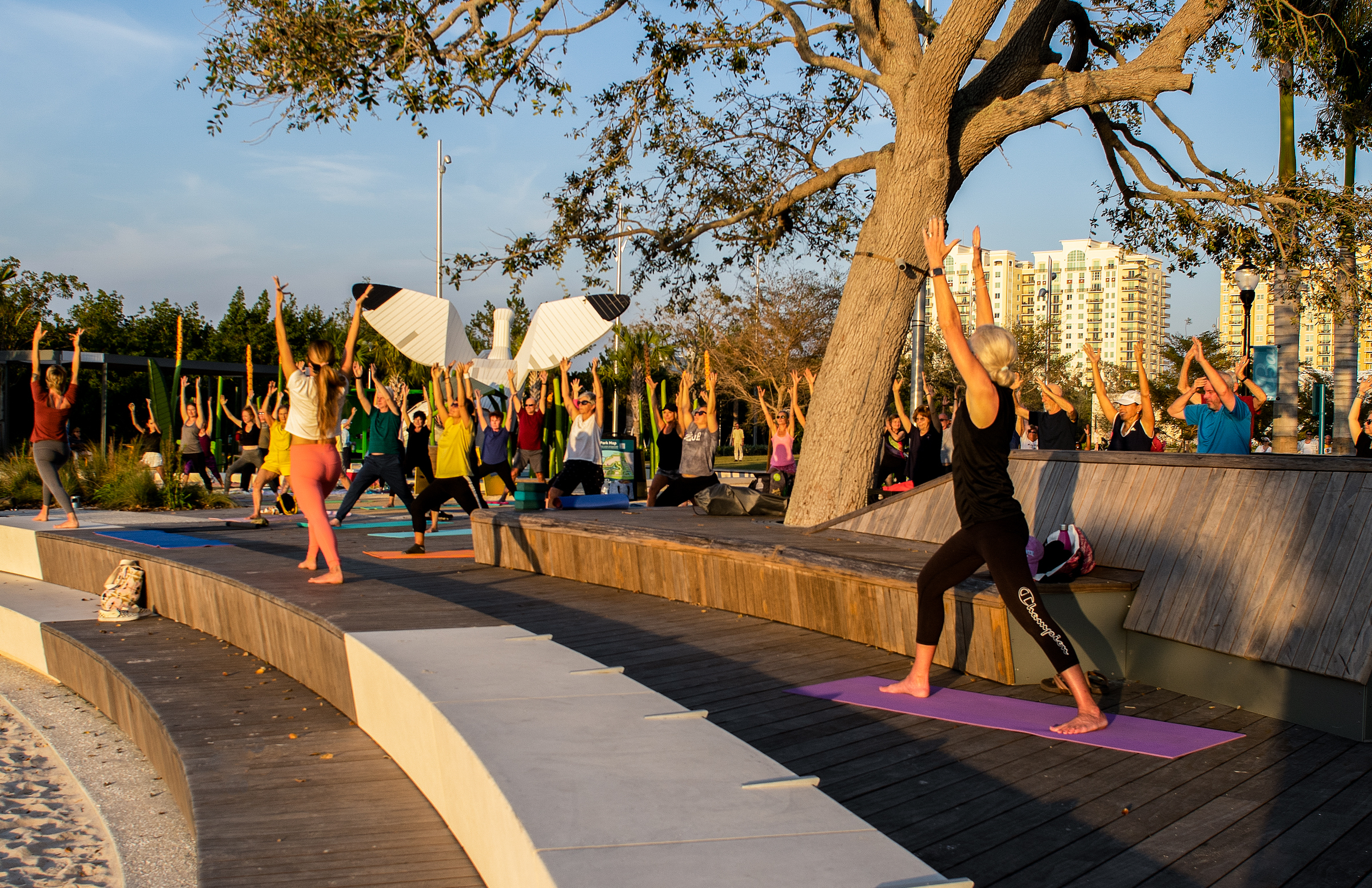 People doing yoga in front of ibis playground at Sarasota Bay Park