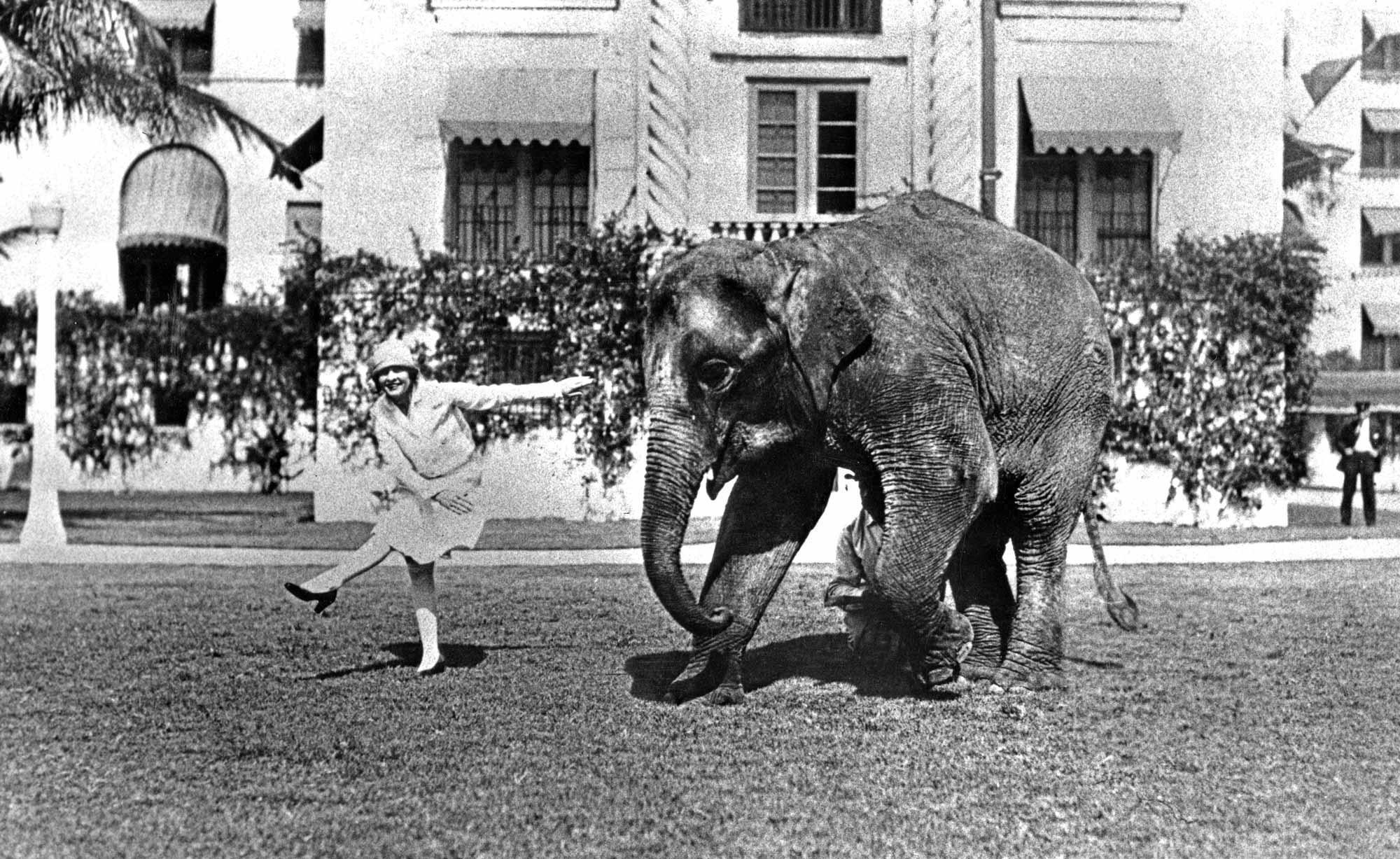 Archive photo of Rosie the elephant