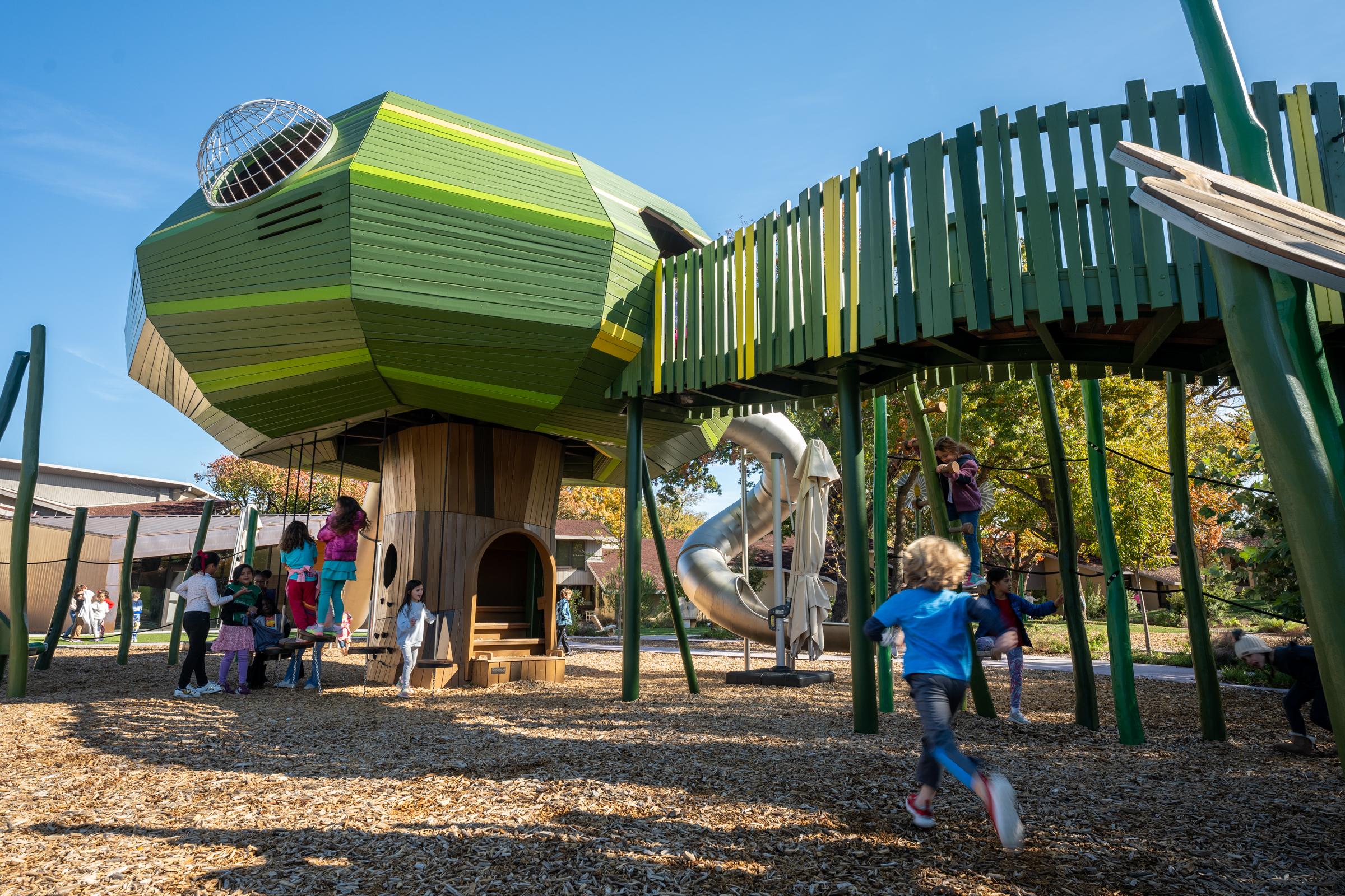 Boy running towards huge wooden playground tree structure