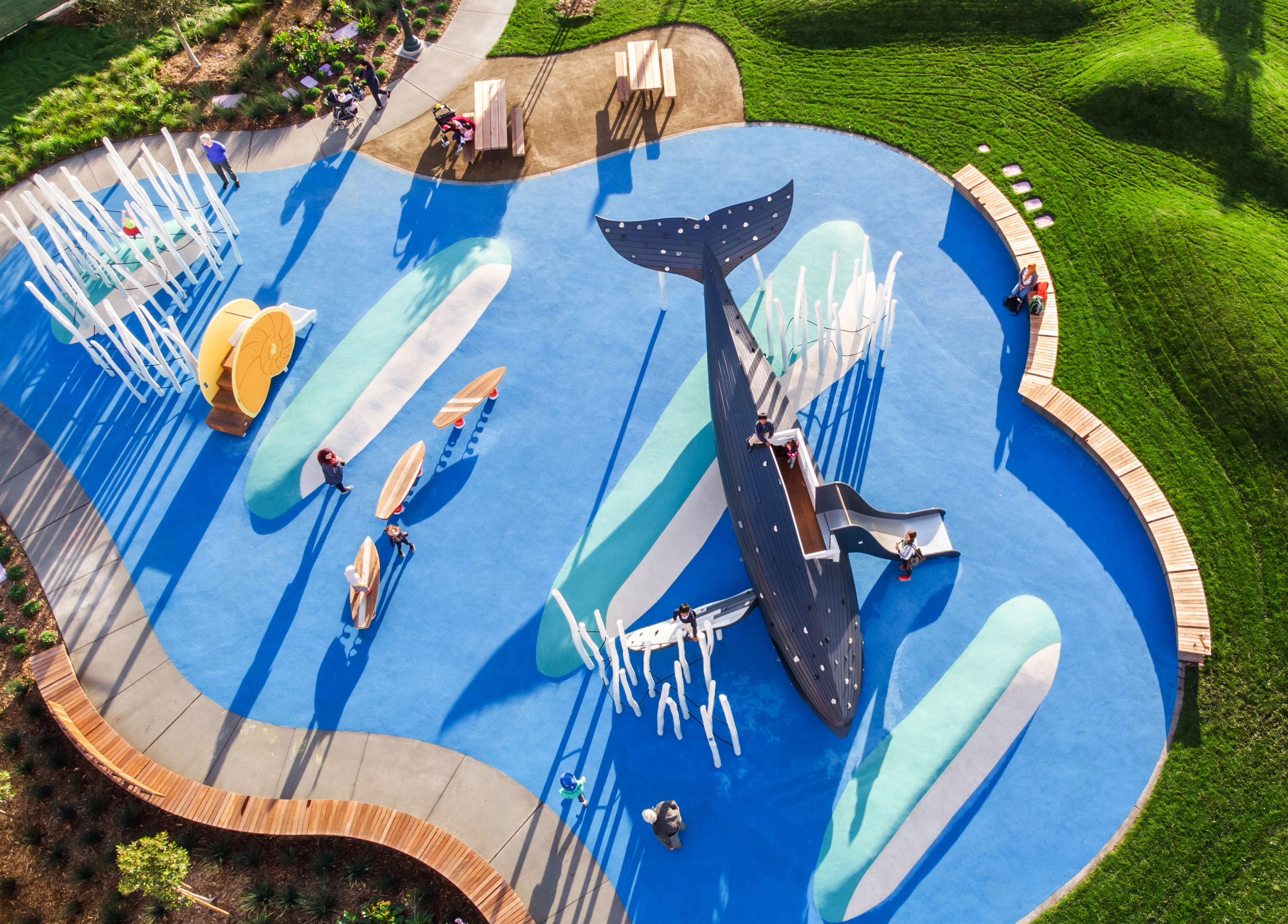 Drone shot of humpback whale seen from above