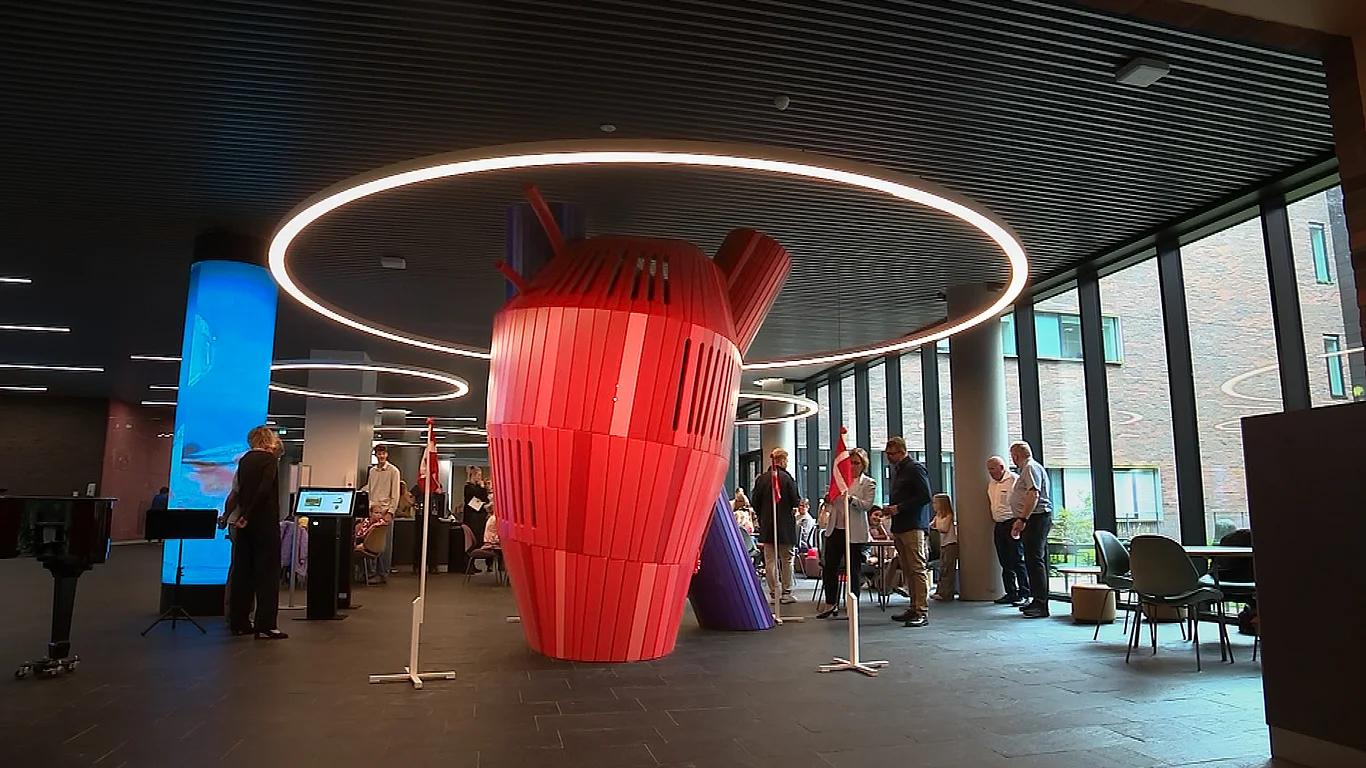 Giant wooden playground heart structure in hospital foyer
