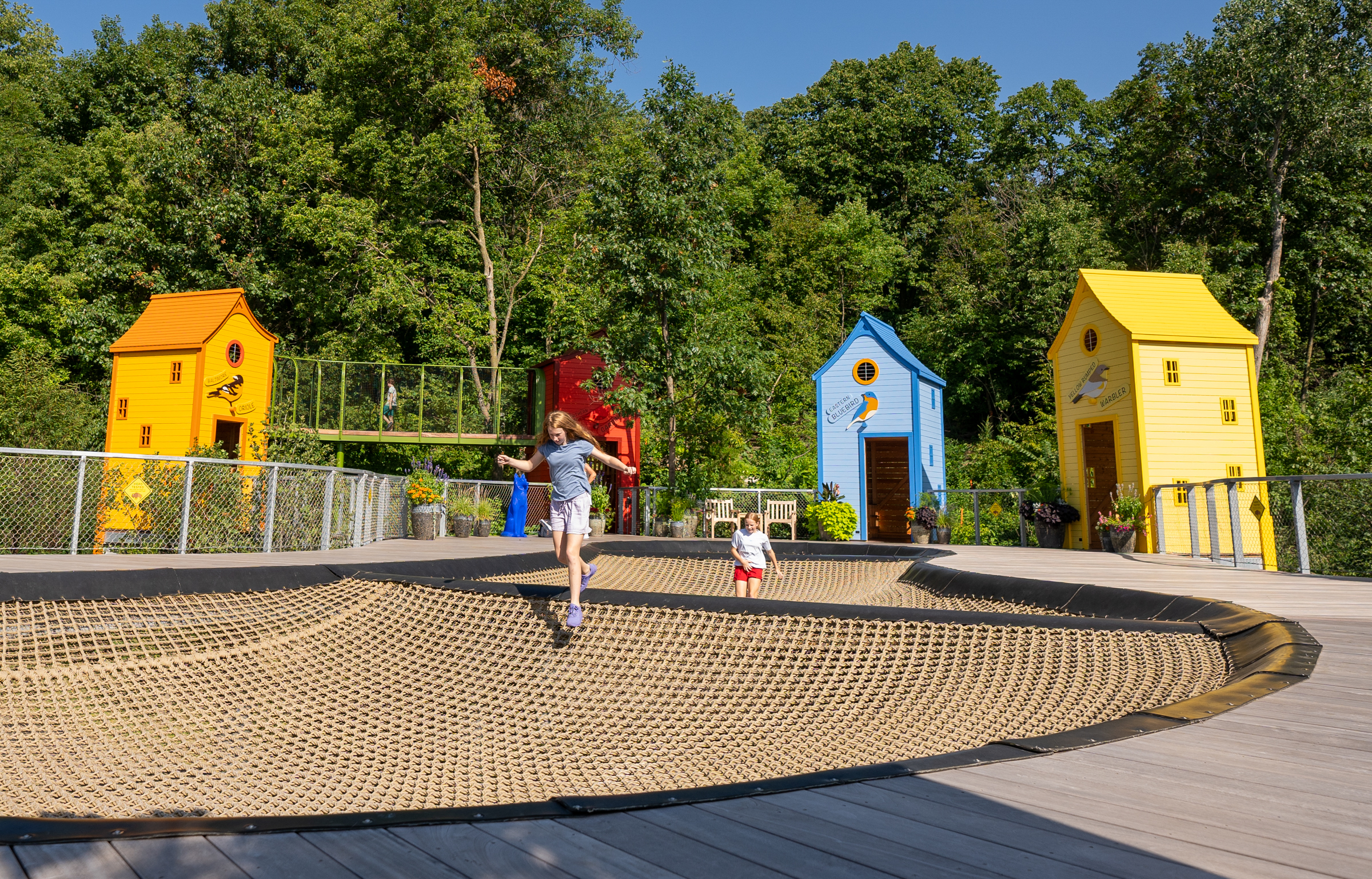Wide view of colourful playground birdhouses