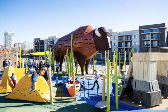 Bison-themed play area