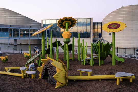 Sunflower meadow playscape
