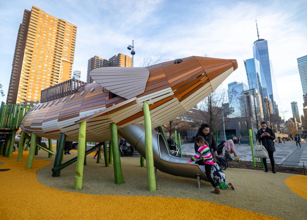 Shortnose sturgeon wooden playground sculpture in New York City