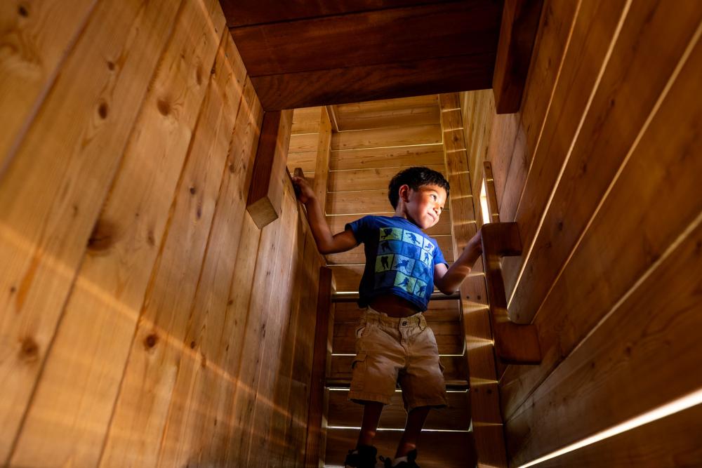 Boy with impaired mobility climbing in playground tower