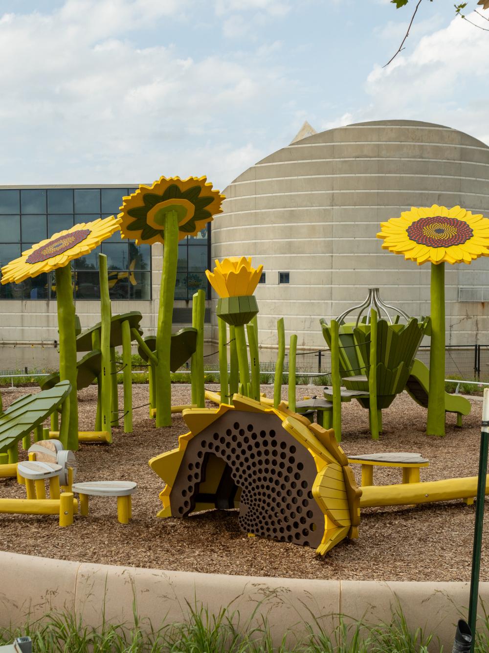 Sunflower themed playground features